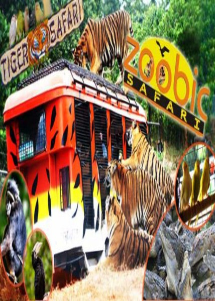 zoobic safari tickets price